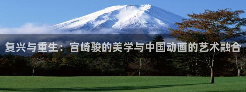 风车动漫资源下载：复兴与重生：宫崎骏的美学与中国动画的艺术融合