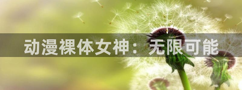 风车动漫官网版：动漫裸体女神：无限可能