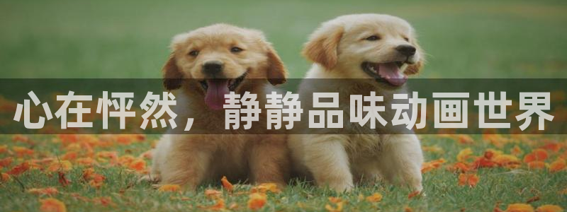 风车动漫仙逆：心在怦然，静静品味动画世界