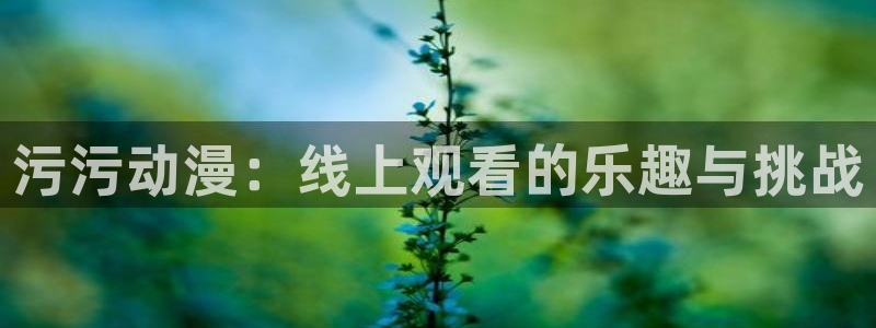 风车动漫在线观看完整版电影：污污动漫：线上观看的乐趣与挑战