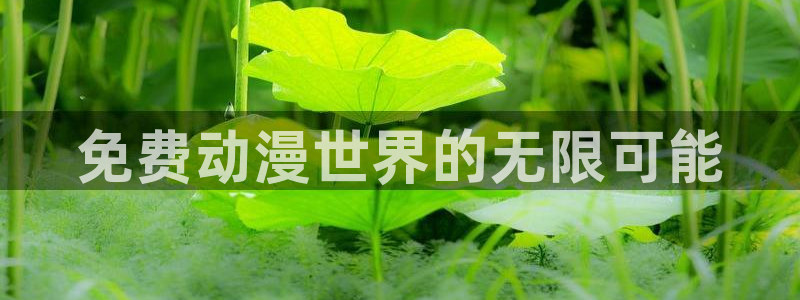 风车动漫影视：免费动漫世界的无限可能